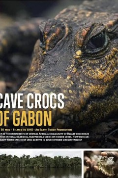 加蓬的洞穴鳄鱼
