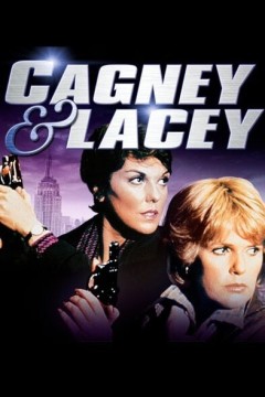 警花拍档第一季