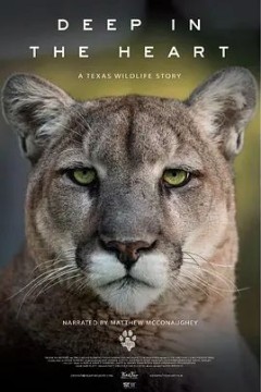 Deep in the Heart： A Texas Wildlife Story  2022