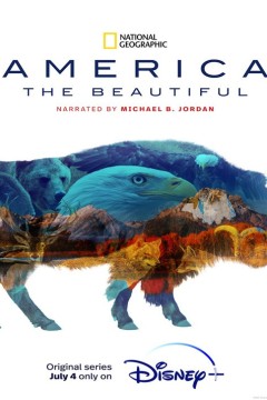 美丽的美国