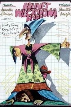 褐发女人会来电