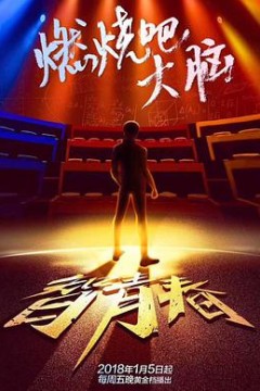 最强大脑第五季