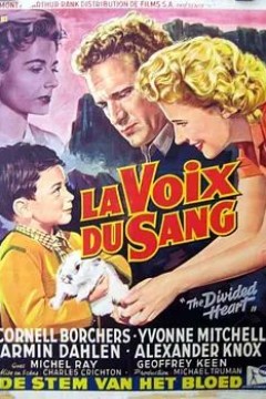 十年离乱孤血泪