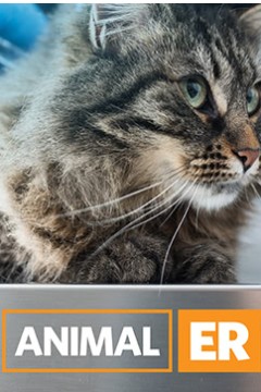 动物急症室第二季