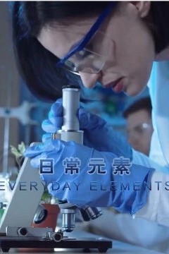 日常元素