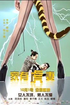 家有虎妻2015