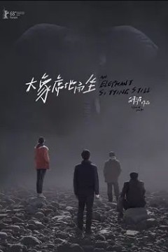 大象席地而坐2018