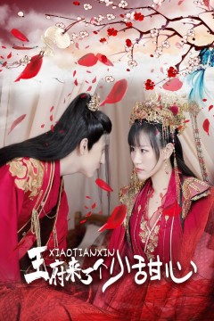 王府来了一个小甜心