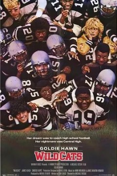 小野猫吃大老虎