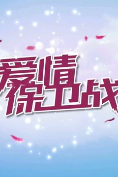 爱情保卫战2017