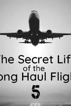 长途航班的秘密生活