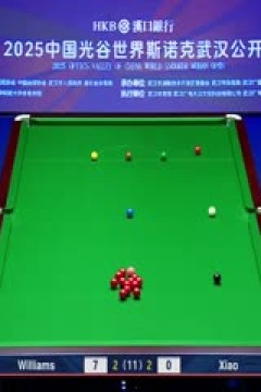 2025斯诺克武汉公开赛半决赛肖国栋6-3马克·威廉姆斯(朱蒙)20250829