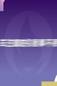 西甲联赛 巴列卡诺VS巴塞罗那 20240828