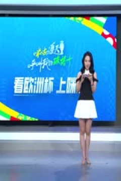 欧洲杯小组赛 苏格兰VS匈牙利 20240624