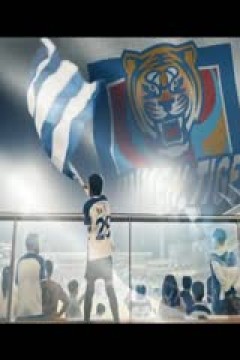 英超 布伦特福德vs切尔西 (涂远、刘畅) 20240302