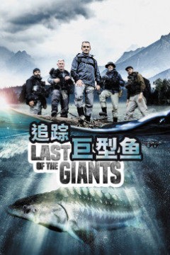 追踪巨型鱼