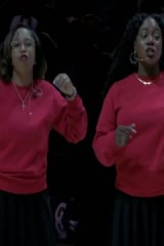 NBA常规赛 尼克斯VS鹈鹕 20241222