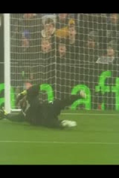 英超联赛 水晶宫VS布莱顿 20250405