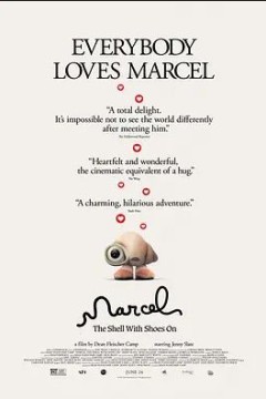 穿着鞋子的贝壳马塞尔