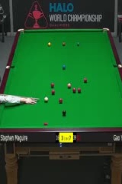24-25赛季斯诺克世锦赛资格赛第三轮斯蒂芬·马奎尔3-10高阳(第二阶段)20250414