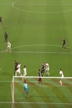 德甲 斯图加特vs霍芬海姆 (刘洪新) 20230527