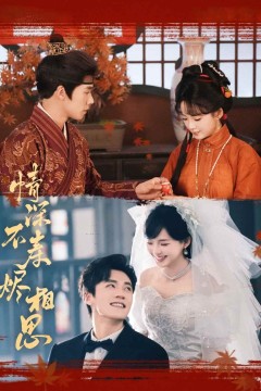 情深不寿烬相思