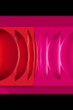 WCBA常规赛A组 北京首钢园VS四川蜀道远达 20241224