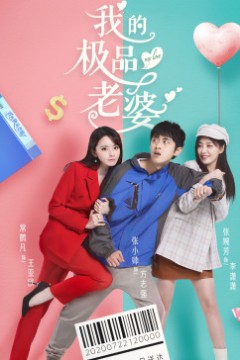 我的极品老婆第一季