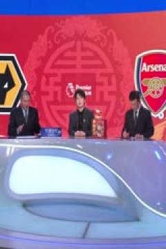 英超联赛 狼队VS阿森纳 20250125