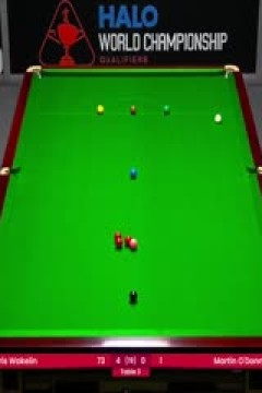 24-25赛季斯诺克世锦赛资格赛Day9 马丁·奥唐奈2-7克里斯·韦克林(第一阶段) 20250416