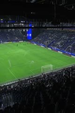 亚冠精英联赛阶段 利雅得新月VS波斯波利斯 20250205