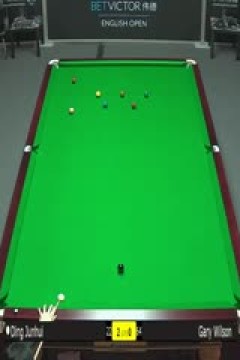 斯诺克加里·威尔逊2-4丁俊晖20231005