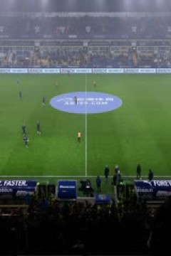 意甲联赛 帕尔马VS莱切 20250201