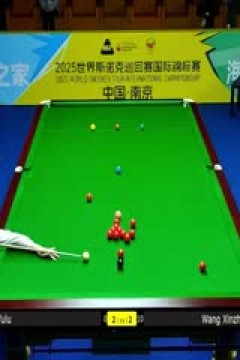 2025斯诺克国际锦标赛延期资格赛第一轮白雨露4-6王信仲20251102