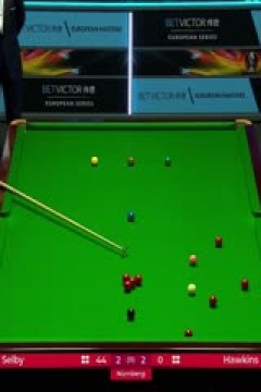 斯诺克塞尔比4-6霍金斯20230826(李照)