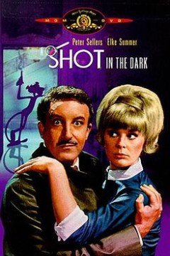 粉红豹系列：黑夜怪枪