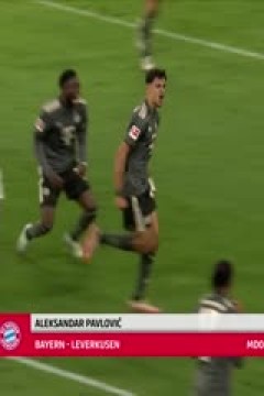 德甲联赛 弗赖堡VS霍芬海姆 20250419