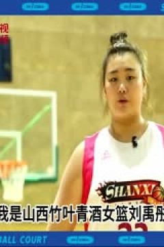 WCBA常规赛 江苏南钢VS东莞新彤盛 20240314(字诚)