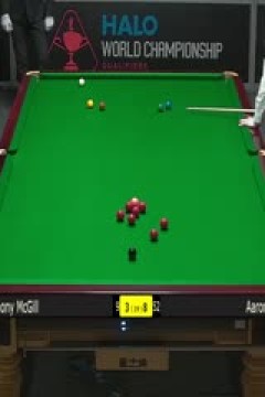 斯诺克世锦赛资格赛96进64及64进32安东尼·麦克吉尔5-10亚伦·希尔(第二阶段)20250413