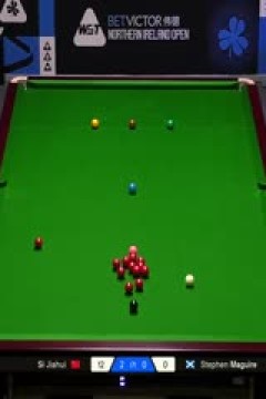 2025斯诺克北爱尔兰公开赛32进16斯蒂芬·马奎尔0-4斯佳辉20251022