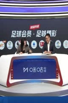 英超联赛 曼城VS卢顿 20240413