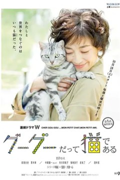 咕咕是一只猫第一季