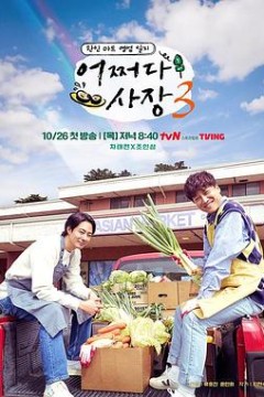 偶然的社长第三季