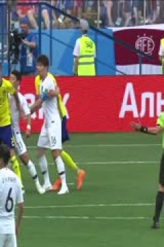 瑞典VS韩国