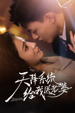 天降系统给我送老婆