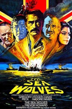 海狼(国语版)下