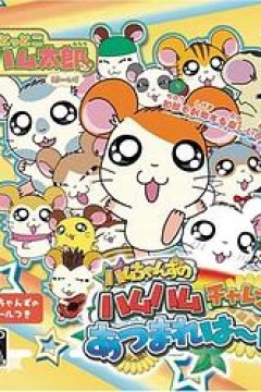 哈姆太郎第三季