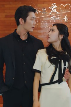 新如果爱有天意