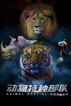 动物特种部队第二季