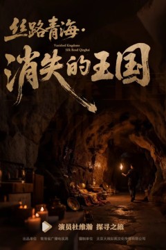 丝路青海·消失的王国